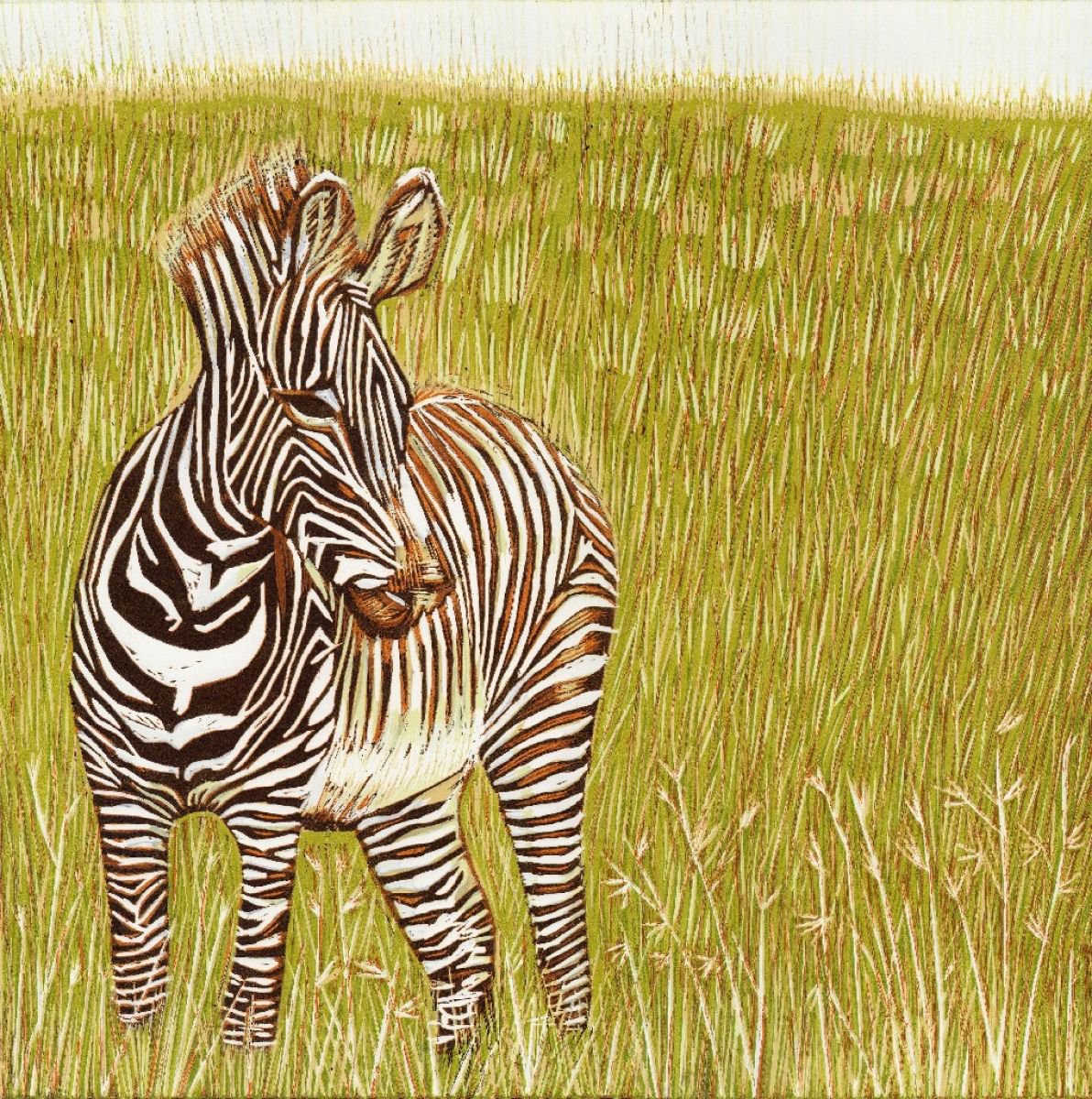 Grevy’s Zebra, Masai Mara by Marian Carter