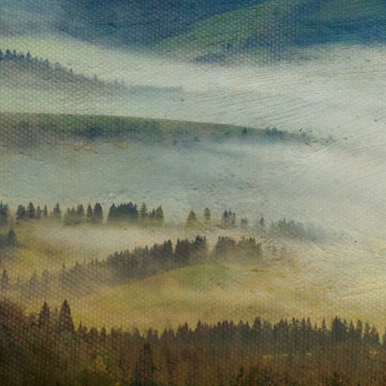 Covered with morning mist.