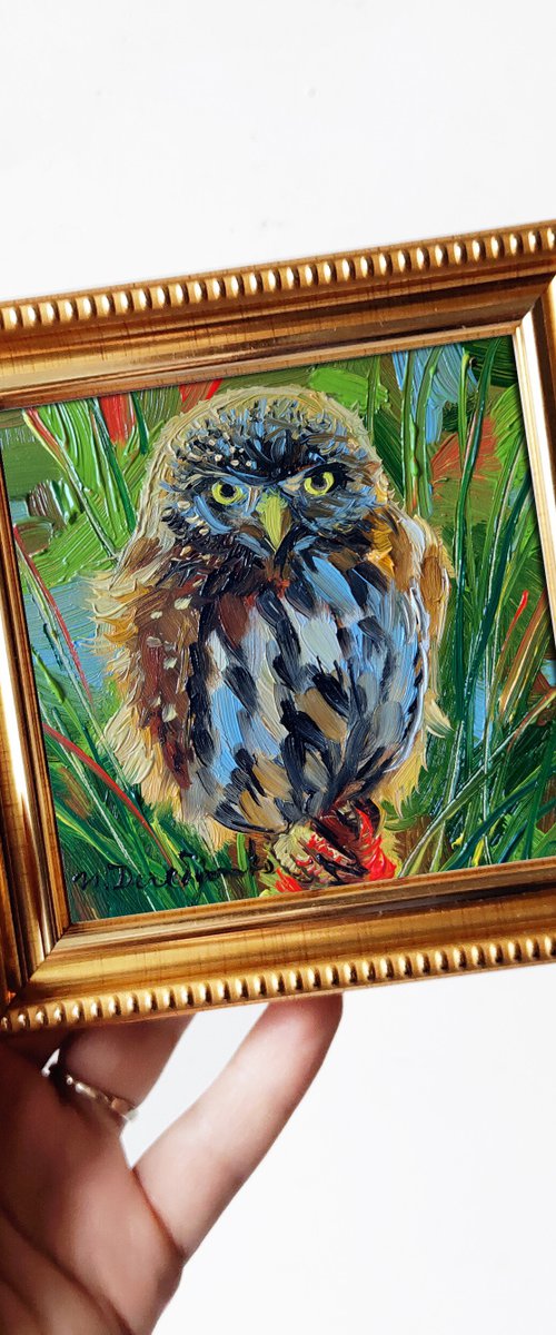Owl bird by Nataly Derevyanko