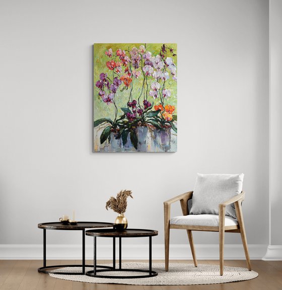 Colorful Orchids