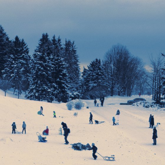 Sledging in the winter park.