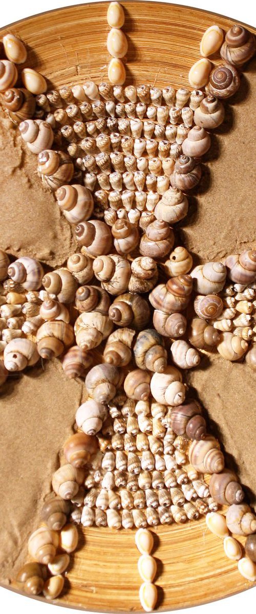 Composition of shells by Salana Art