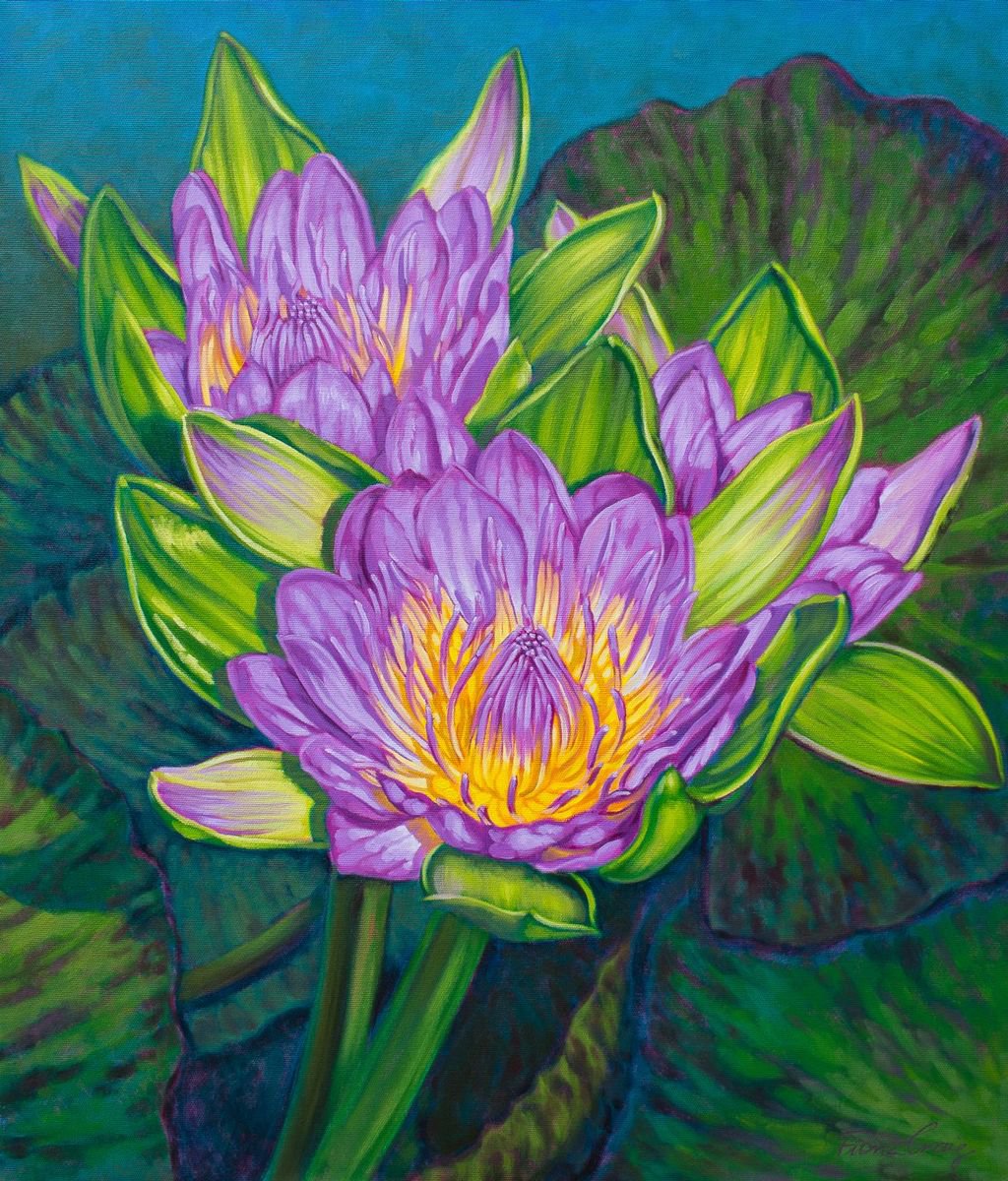 Purple Water Lilies by Fiona Craig