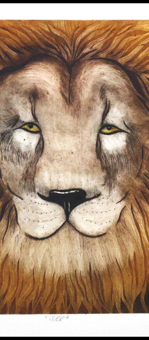Leo by Mariann Johansen-Ellis