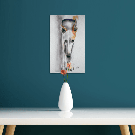 Greyhound