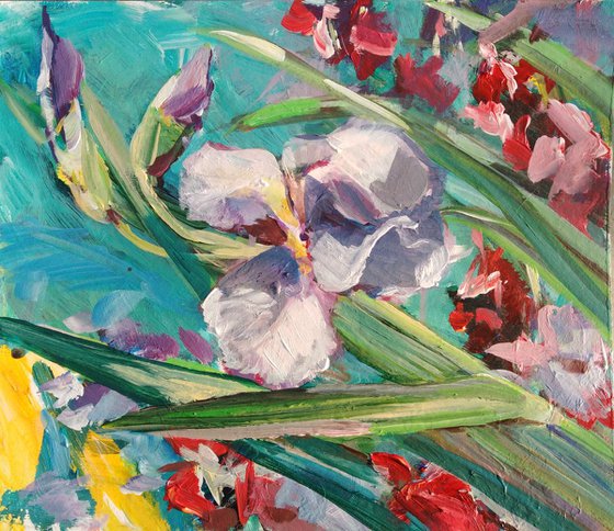 Melody of Irises