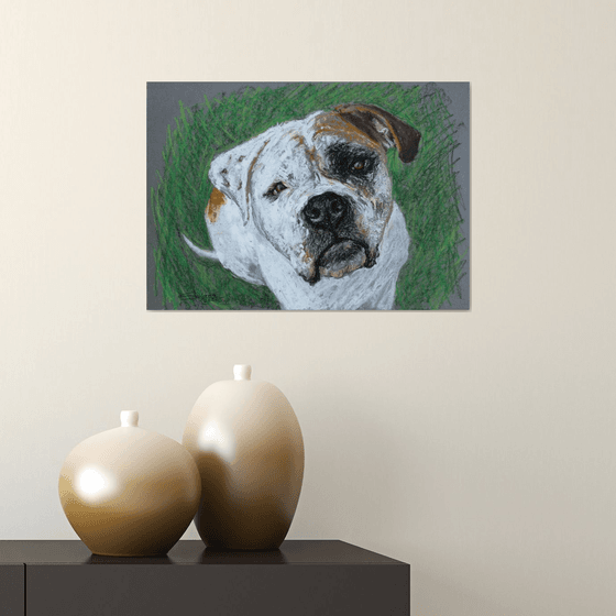 Dog V... American Bulldog /  ORIGINAL PAINTING