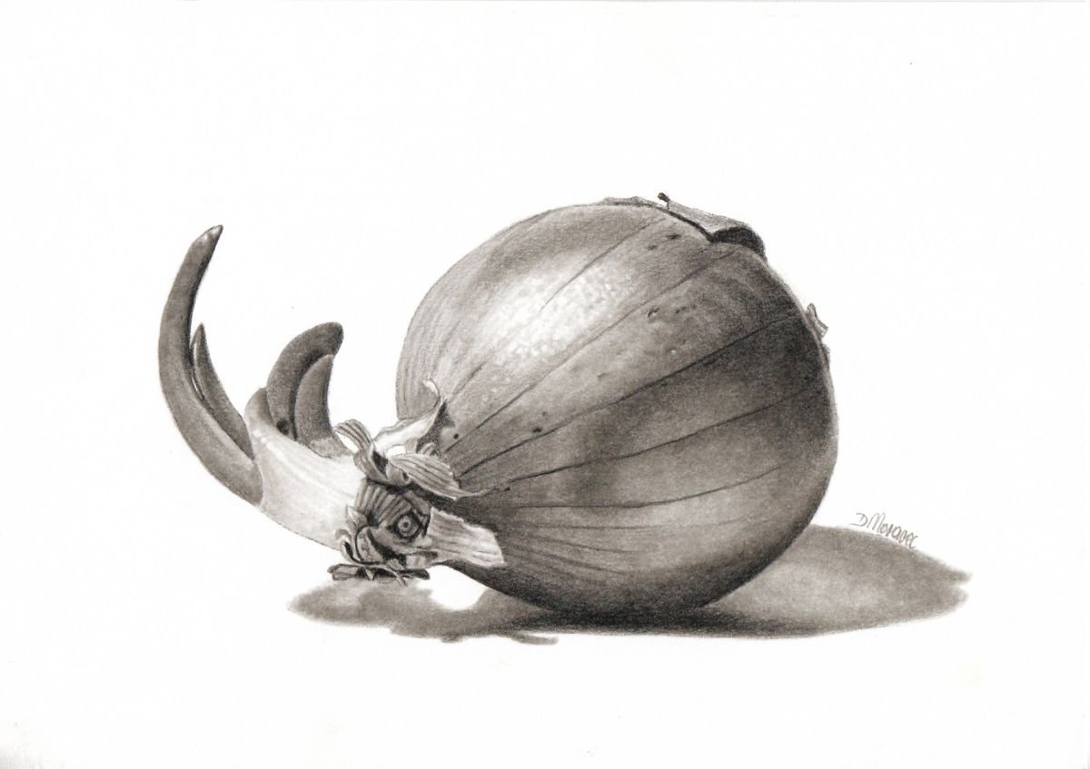 Rhino Onion by Dietrich Moravec