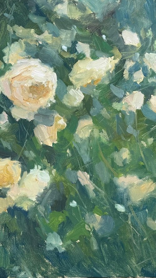 Blooming Roses by Alex James Long
