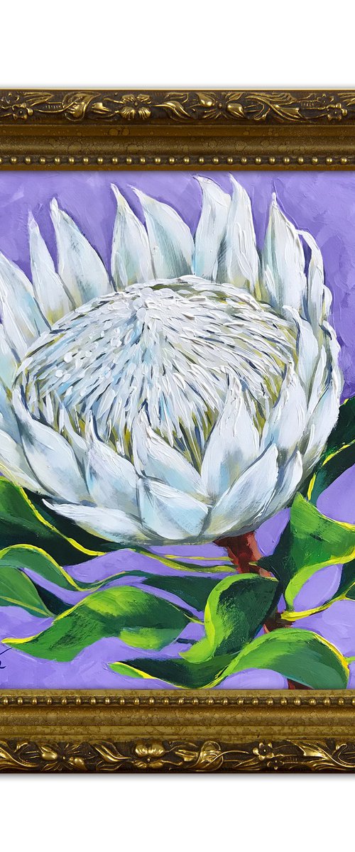 King White Protea by Irina Redine