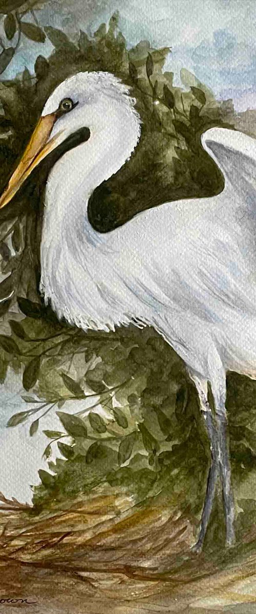 Nesting Bird Watercolor Painting 14 X 11 Matted 20 X 16 by Rosie Brown