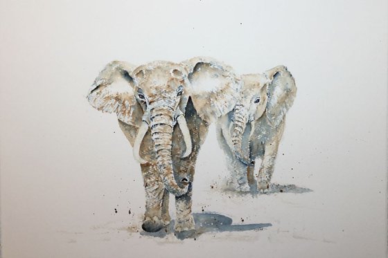 Elephants