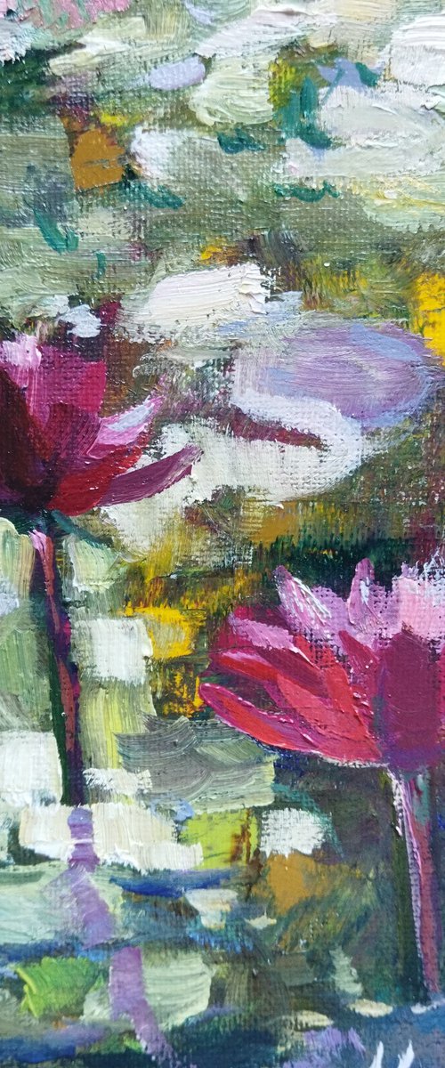 Pink Water Lilies by Ann Krasikova