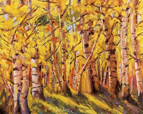 Colorful Aspen Tree Forest