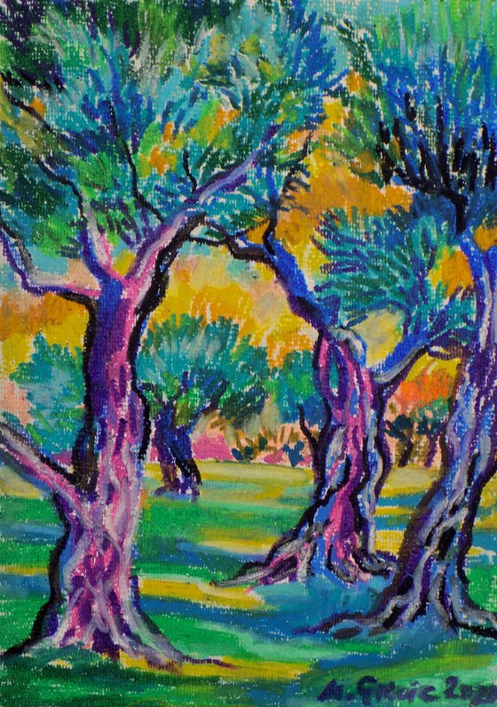 Olive grove No 21