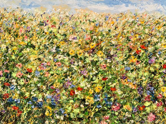 Colorful flowers field