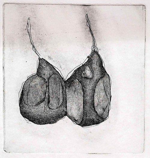 TWO PEARS hand printed etching framed, ready to hang by Mark Lloyd Williams