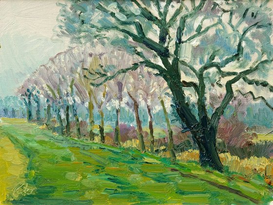 Spring Mist, Brookside
