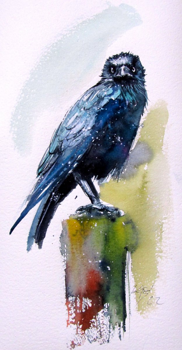 Impressionistic Watercolour , Crow By Kovacs Anna Brigitta, 8 X 16, Artwork For Sale On Artfinder