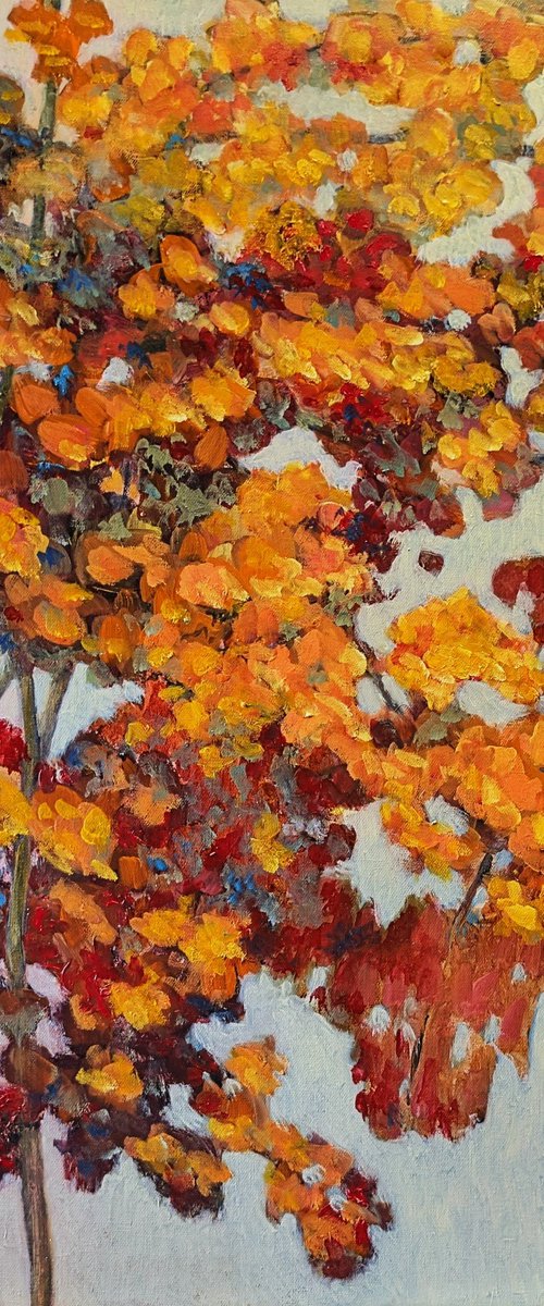 East Autumn by Veta  Barker