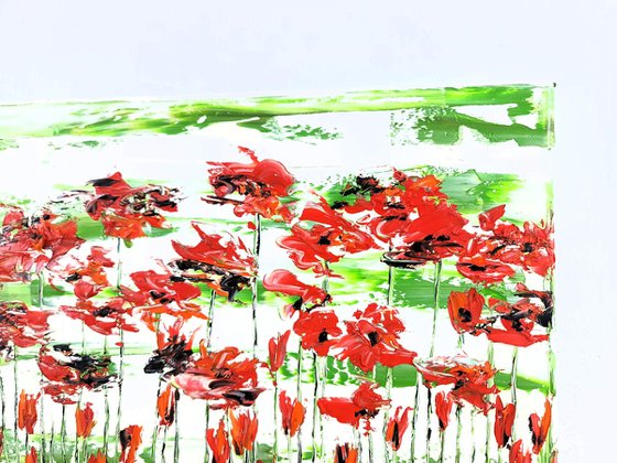 Flora Poppies 5