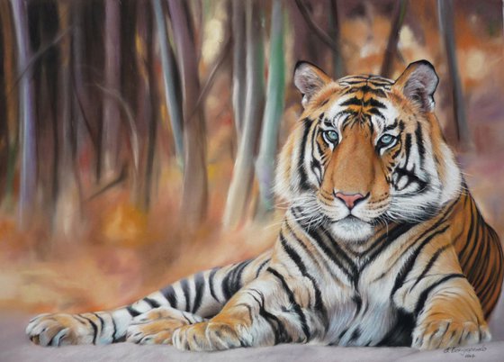 Bengal tiger. Original Pastel Portrait