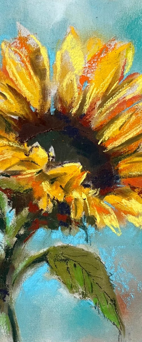 Sunflowers Soft Pastels Drawing by Sophie Rodionov