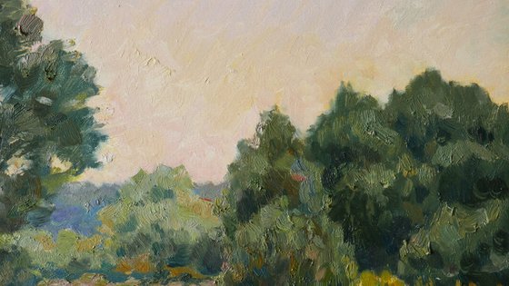 The Twilight Meadow
