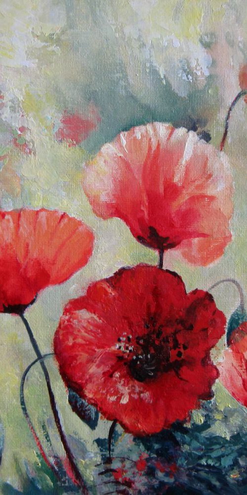 Field of poppies by Elena Oleniuc