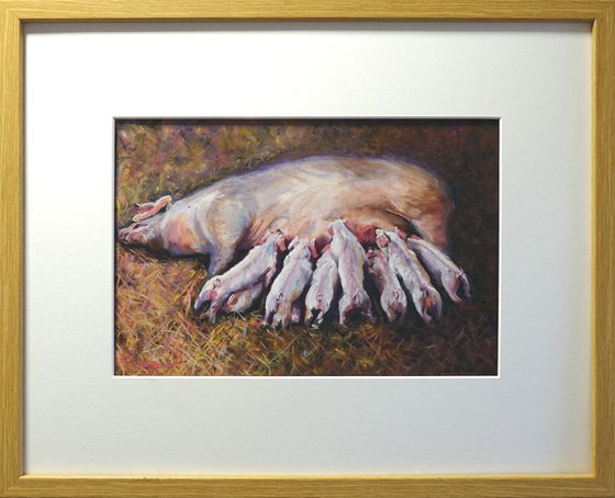Pig with Piglets