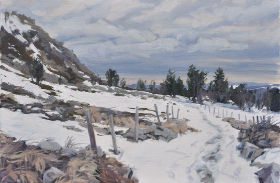 Winter light over the Mézenc