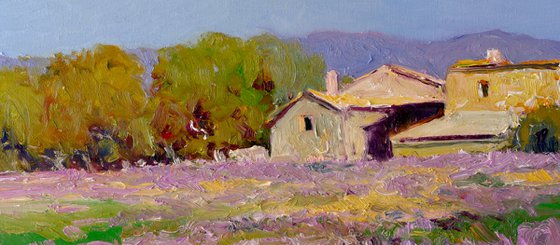 Lavender, French Village