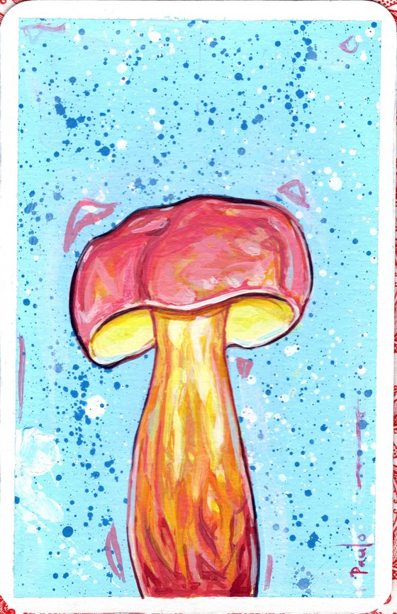 Two coloured bolete