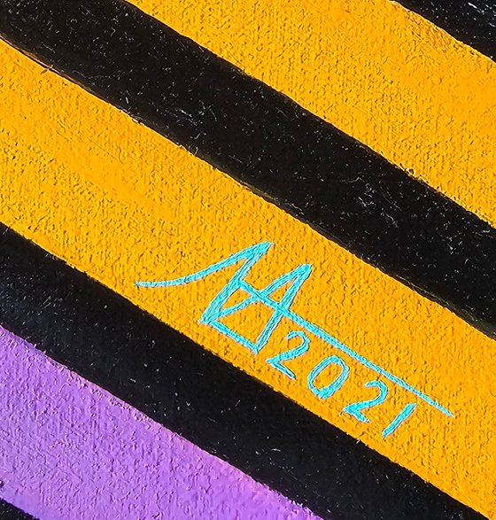 Rainbow Chrysanthemums