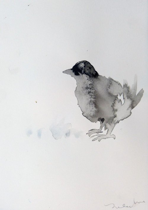 Inquisitive bird, 21x29 cm by Frederic Belaubre