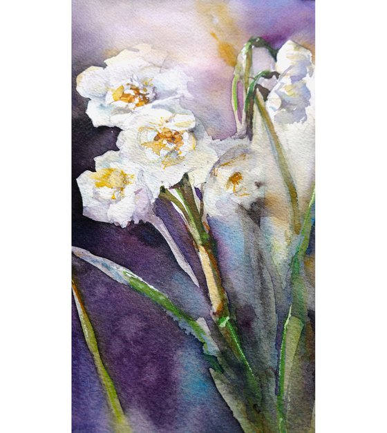 "White daffodils on purple"