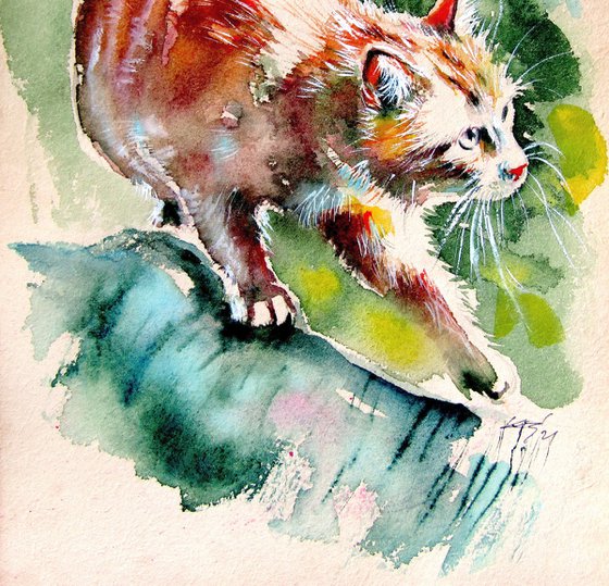 Hunting cat