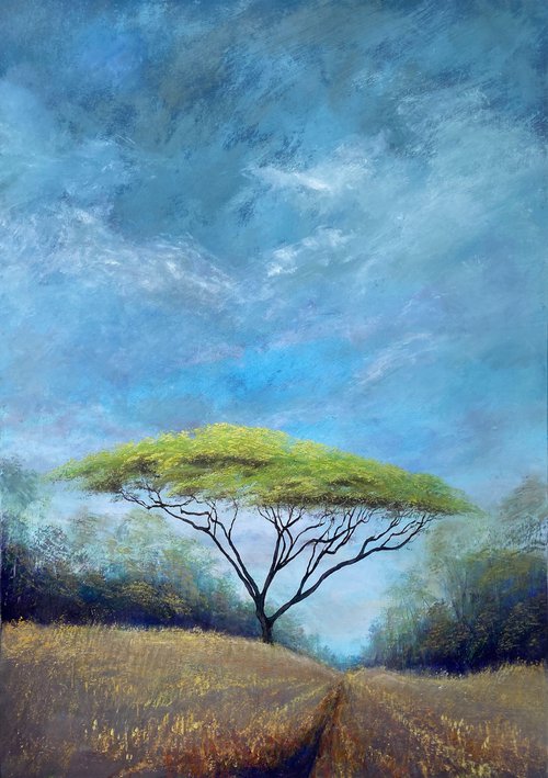 Acacia in a cornfield by Simon Jones