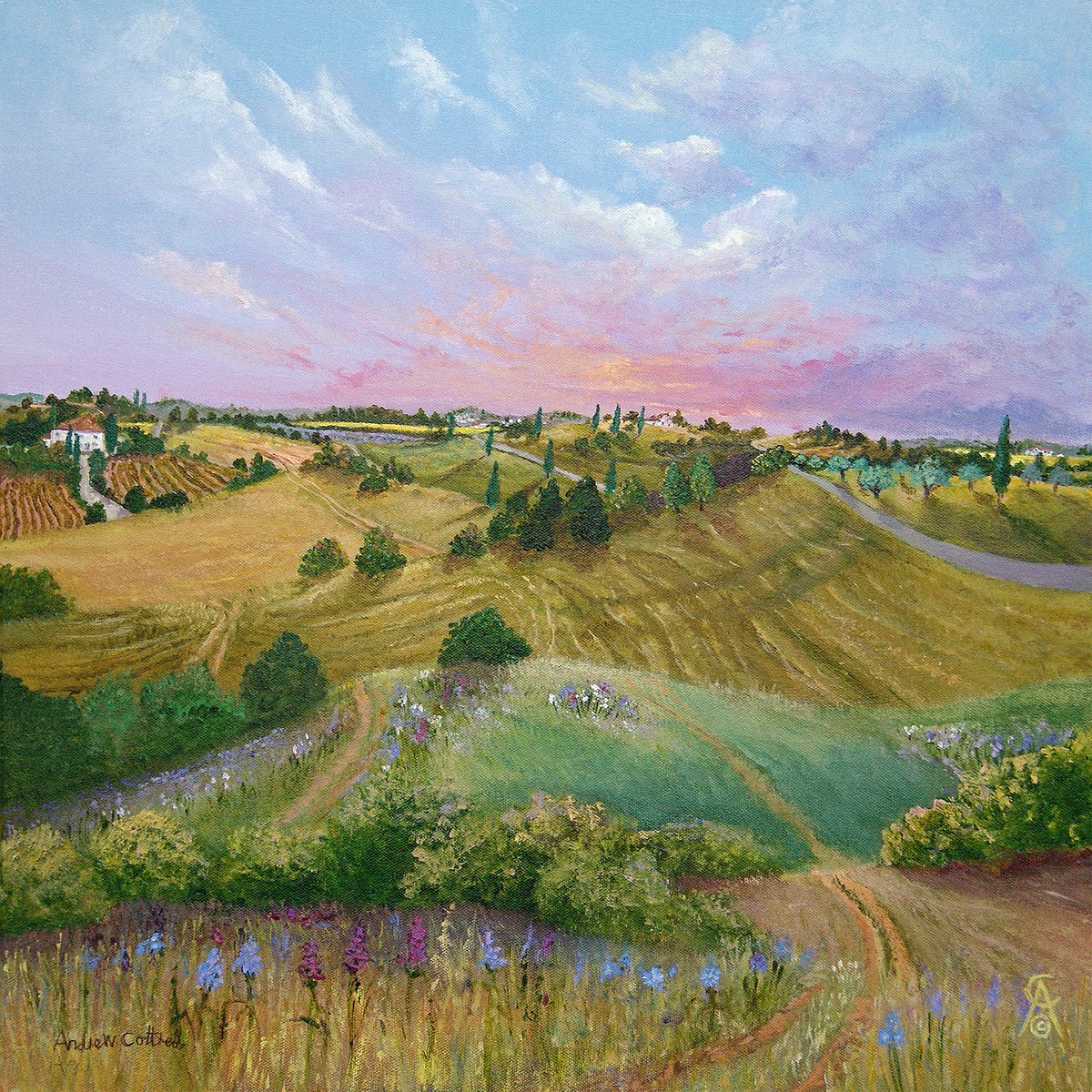 Umbrian Meadows In Spring by Andrew Cottrell