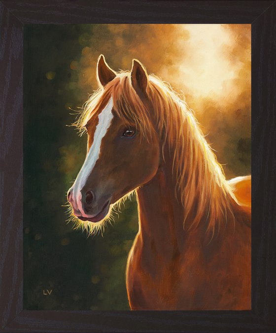 Brown horse portrait at sunset