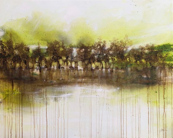 Olive Tree Reflections