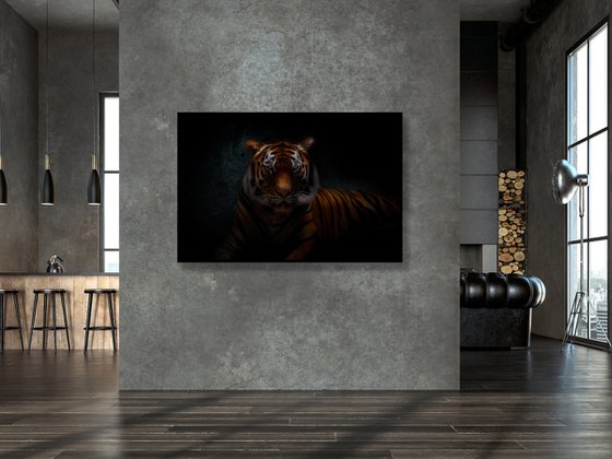 Tiger's Gaze - Fine art