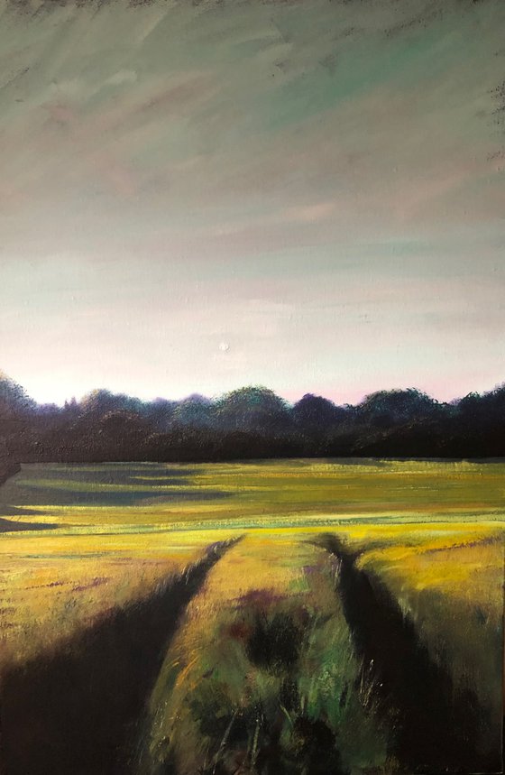 Westfield June Copse 1