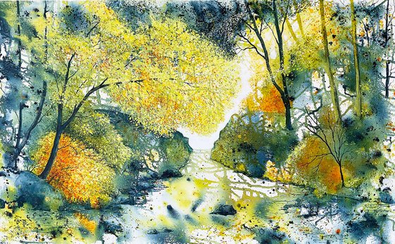 Enchanted Forest