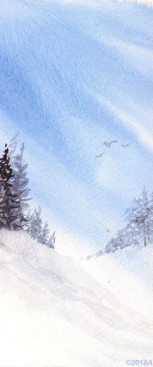 Pine trees in winter snow by Asha Shenoy