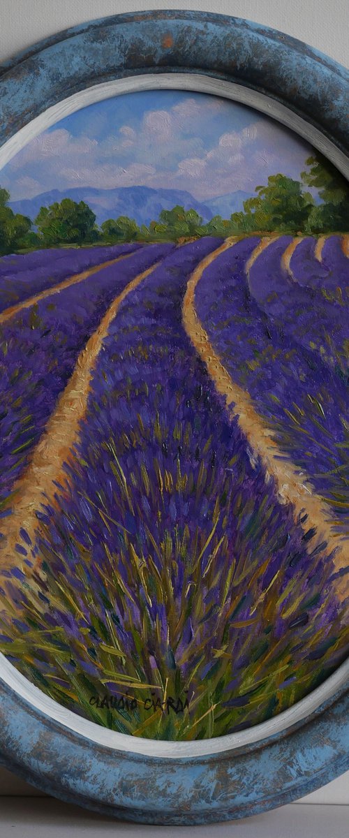 Lavander fields in Provence by Claudio Ciardi