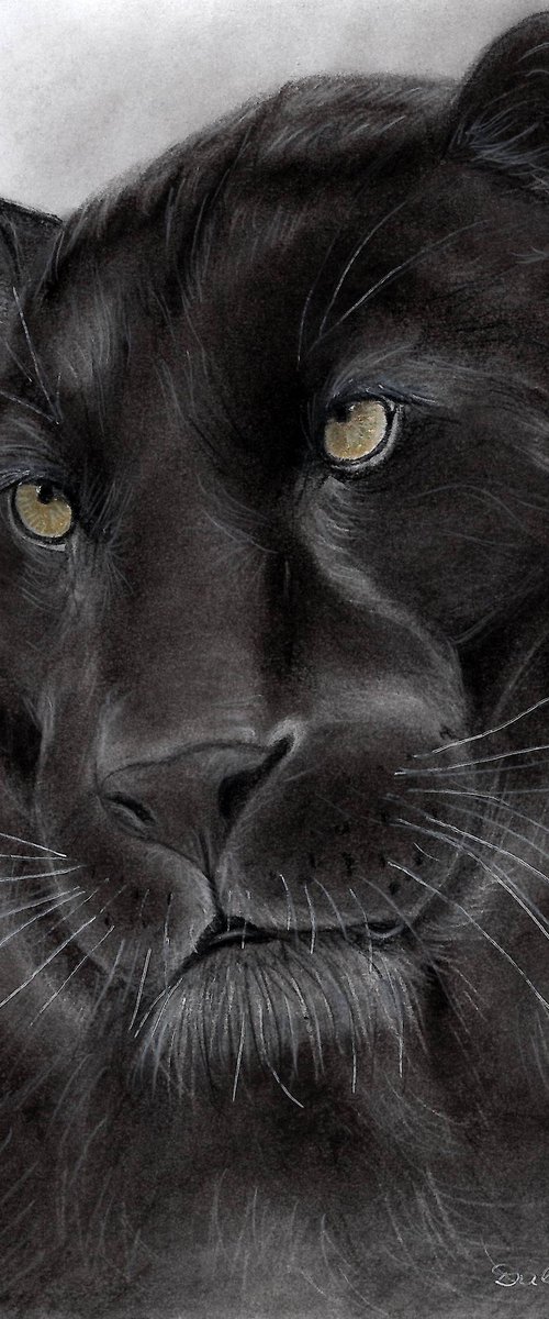 Panther by Dalia Binkiene