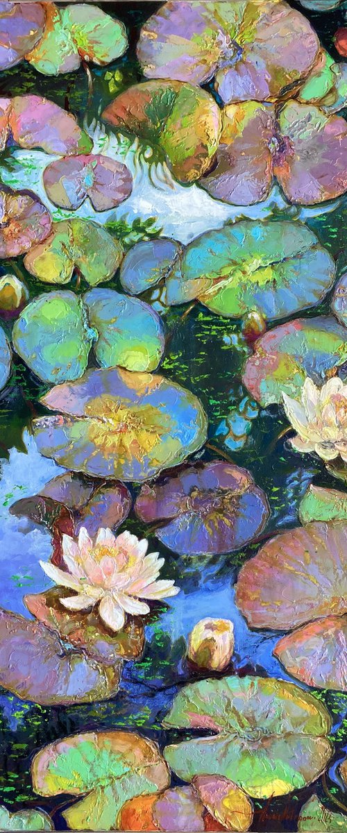 Water lilies. by Andriy Vutyanov