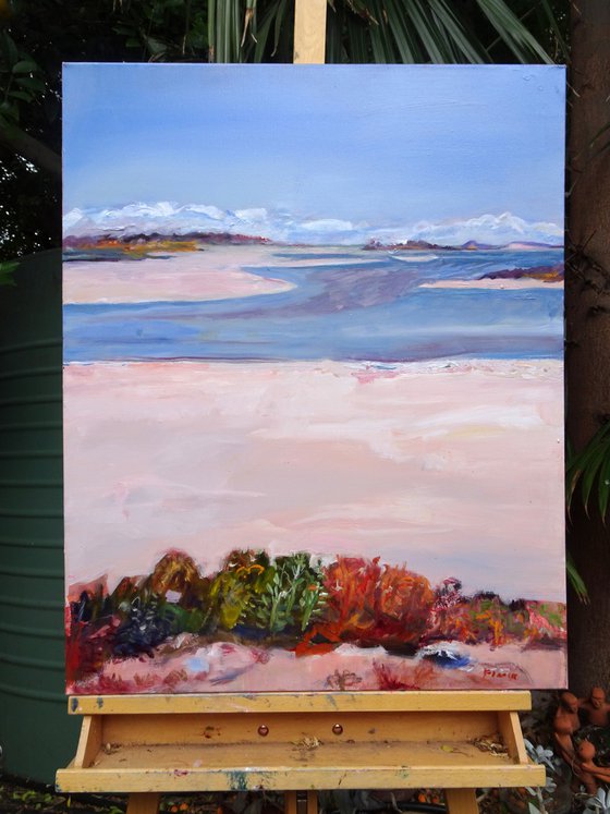 SEASCAPE - THE COORONG