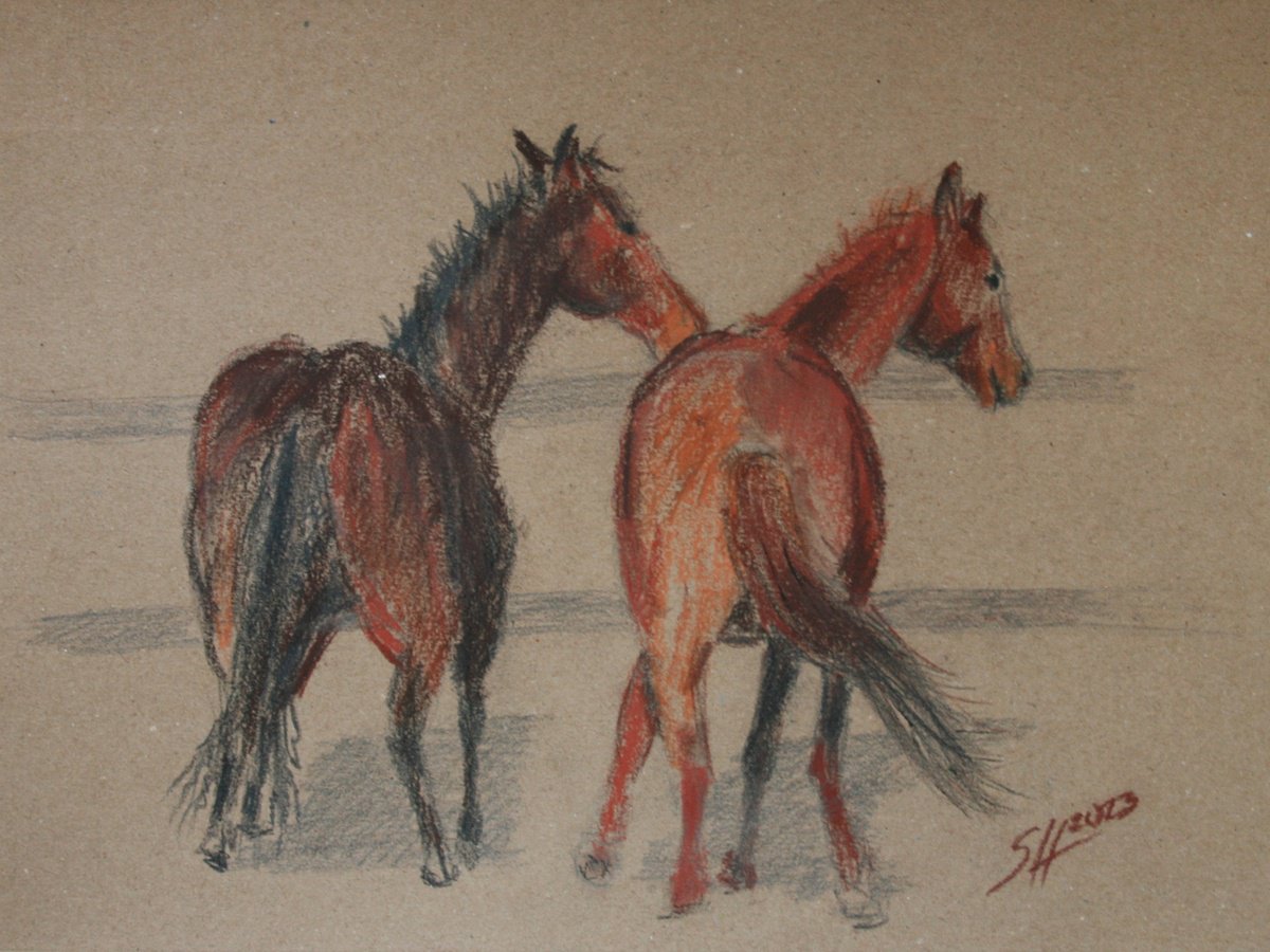 Impressionistic Animal Drawing By Salana Art / Svetlana Samovarova, 11 X 8", Horses, Original Artwork